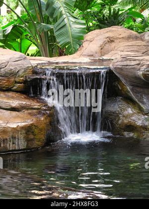 Teich und Wasserfall in meinem Garten. Kleiner Teich und Wasserfall. Stockfoto