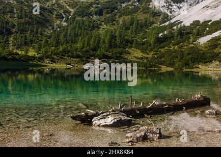 Landschaft von See und Wald bis zu einigen Alp-Bergen Stockfoto