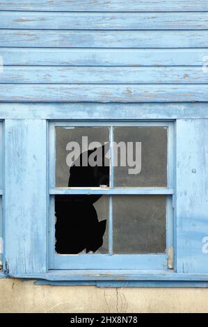 Kaputte Fenster in eine ärztliche-Werk in Detroit MI nach Geschäftsaufgabe Stockfoto