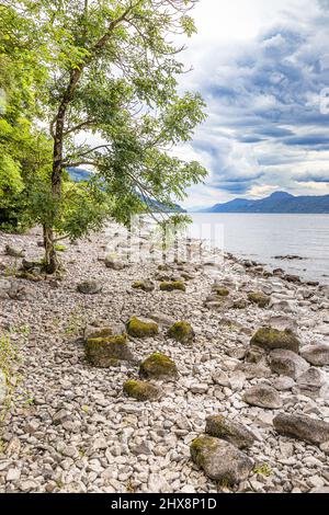 Die felsige Küste von Loch Ness in der Nähe von Dores, Highland, Schottland, Großbritannien. Stockfoto