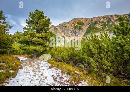 Bergwanderweg im Mlynicka Valley im Spätherbst. Nationalpark Hohe Tatra, Slowakei, Europa. Stockfoto