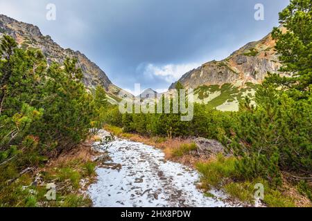 Bergwanderweg im Mlynicka Valley im Spätherbst. Nationalpark Hohe Tatra, Slowakei, Europa. Stockfoto