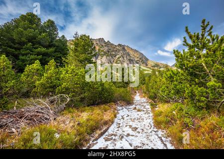 Bergwanderweg im Mlynicka Valley im Spätherbst. Nationalpark Hohe Tatra, Slowakei, Europa. Stockfoto