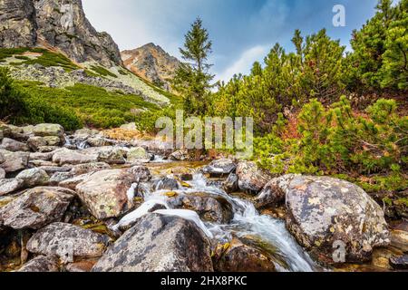 Wilder Bach im Mlynicka Valley im Spätherbst. Nationalpark Hohe Tatra, Slowakei, Europa. Stockfoto
