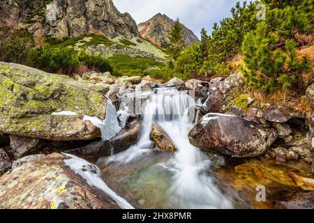 Wilder Bach im Mlynicka Valley im Spätherbst. Nationalpark Hohe Tatra, Slowakei, Europa. Stockfoto