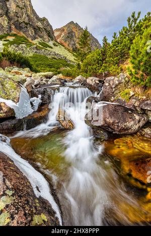 Wilder Bach im Mlynicka Valley im Spätherbst. Nationalpark Hohe Tatra, Slowakei, Europa. Stockfoto