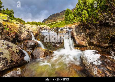 Wilder Bach im Mlynicka Valley im Spätherbst. Nationalpark Hohe Tatra, Slowakei, Europa. Stockfoto