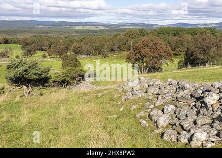 Blick nach Norden in Richtung Loch Garten von Tulloch bei Aundorach im Abernethy National Nature Reserve, Highland, Schottland, Großbritannien. Stockfoto