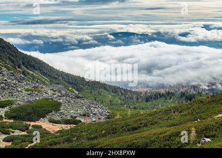 Blick auf die umliegende Landschaft aus dem Mlynicka-Tal. Nationalpark Hohe Tatra, Slowakei, Europa. Stockfoto