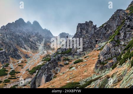 Berggipfel im Mlynicka Valley im Spätherbst. Nationalpark Hohe Tatra, Slowakei, Europa. Stockfoto