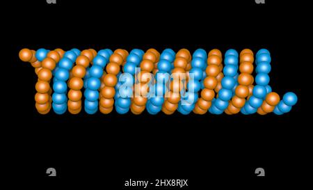 Mikrotubulus , Mikrofilament, umgeben von Atomen. 3D Darstellung rendern Stockfoto