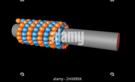 Mikrotubulus , Mikrofilament, umgeben von Atomen. 3D Darstellung rendern Stockfoto