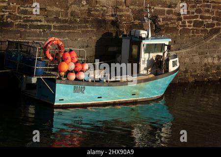 Sonniger Blick vom Hafen von Paignton an der herrlichen englischen riviera Stockfoto