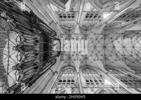 York.Yorkshire.Vereinigtes Königreich.Februar 14. 2022.Blick auf die Decke im Sumpf der York Minster Kathedrale in Yorkshire Stockfoto