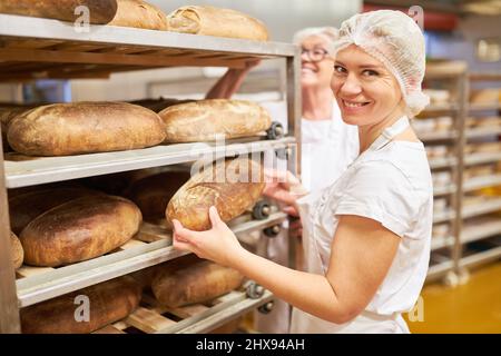 Die Auszubildende der jungen Bäckerin hält einen frisch gebackenen Laib Brot in einer großen Bäckerei Stockfoto