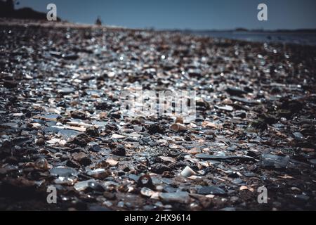 Der alte, mit Müll und Knochen bedeckte Strand der Dead Horse Bay auf Long Island Stockfoto