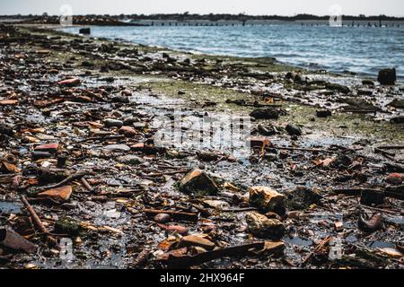 Der alte, mit Müll und Knochen bedeckte Strand der Dead Horse Bay auf Long Island Stockfoto