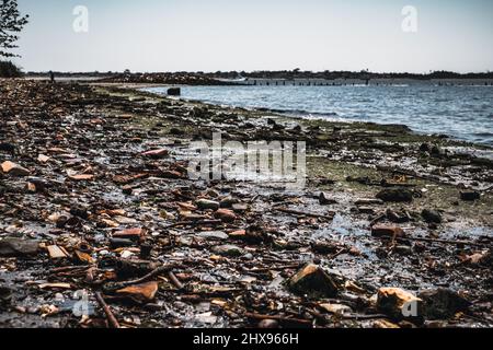 Der alte, mit Müll und Knochen bedeckte Strand der Dead Horse Bay auf Long Island Stockfoto