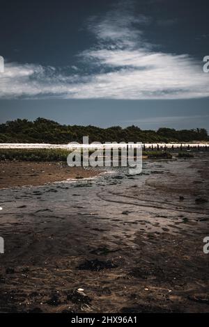 Der alte, mit Müll und Knochen bedeckte Strand von Dead Horse Bay in New York Stockfoto