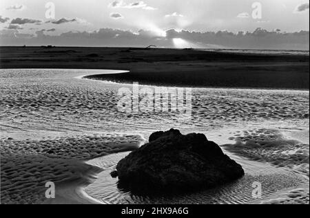 Strand in Nordkalifornien, wo der russische Fluss auf den Pazifischen Ozean bei Jenner trifft. Stockfoto