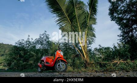 Das rote Motorrad auf Waldweg Reise. Ein Roller, in der Nähe einer tropischen Palme. Asien Thailand Reiten Tourismus. Einzelmotorrad, Miete. Schutzhelm. Stockfoto