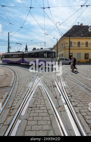 Straßenbahn auf ihren Gleisen durch die Straßen der Innenstadt von Timisoara Stockfoto