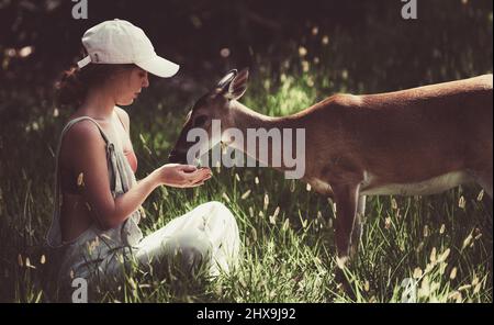 Junge Frau füttert Hirte bambi. Niedliche wilde Tiere Konzept. Stockfoto