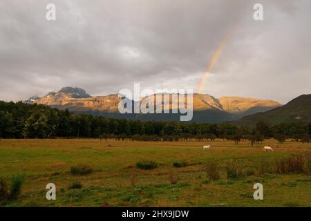 Neuseeländische Landschaft mit Regenbogen und goldener Sonne nach Regen über Forbes Mountains Range, Mount Earnslaw und Weiden davor, NZ DOC Sylvan Campgrou Stockfoto