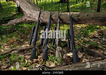 Vier Jagdgewehre mit Scope-Optik, die gegen einen gefallenen Baum schiefen Stockfoto