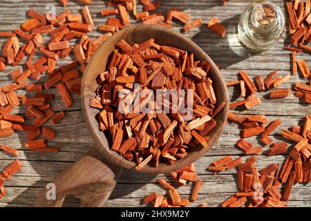 Rote Sandelholzstücke auf einem Holzlöffel, im Hintergrund eine Flasche ätherisches Aromatherapie-Öl Stockfoto