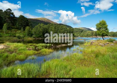 Loch Beinn A' Mheadhoinm, Glen Affric in der Nähe von Cannich, Highlands Scotland Stockfoto