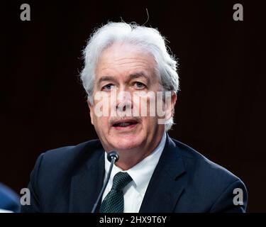 Washington DC, USA. 10. März 2022. William Burns, Direktor der Central Intelligence Agency, spricht bei einer Anhörung des Senats-Geheimdienstausschusses. Kredit: SOPA Images Limited/Alamy Live Nachrichten Stockfoto