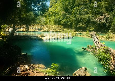 Wunderschöne Pools in Semuc Champey, Rio Cabohon, Lanquin, Alta Verapaz, Guatemala Stockfoto