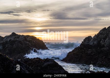 Wunderschöner Sonnenuntergang und stürzende Wellen in Bodega Bay, Kalifornien Stockfoto