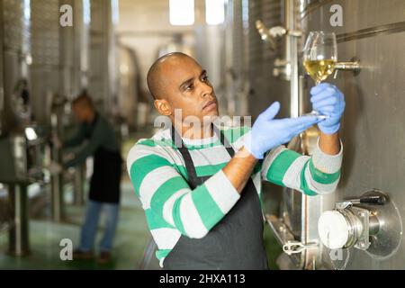 Hispanischer Winzer bei der Weinprobe in der Kellerei Stockfoto