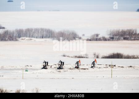 Vier Ölpumpenheber in einer Winterlandschaft auf dem Land von Alberta