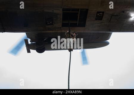 Eine US Marine mit Echo Company, 2. Bataillon, 6. Marines, führt ein schnelles Seiltraining von einem CH-53E Super Hengst an Bord des Marine Corps Base Camp Lejeune, North Carolina, 24. Februar 2022 durch. Echo Co. Führte die Schulung zur Zertifizierung für luftgestützte Einfügeoperationen durch, um einen bevorstehenden Einsatz vorzubereiten. (USA Marine Corps Foto von CPL. Henry Rodriguez) Stockfoto