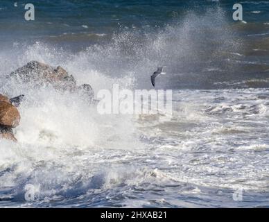 Stürmisches Meer mit windgeblasenem Meeresspray Stockfoto