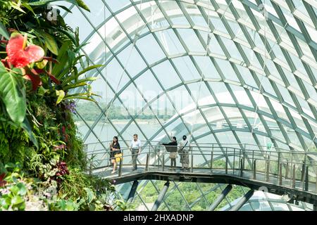 Singapur - 18 2015. August; Besucher auf der erhöhten Promenade in der botanischen Kuppel von Singapore, Gardens by the Bay. Der Gartenpark besteht aus drei W Stockfoto