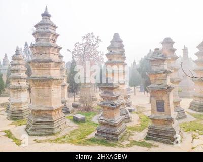 Pagodenwald des Shaolin-Tempels, Dengfeng, Henan, China. Historische Denkmäler von Dengfeng in "das Zentrum von Himmel und Erde" ist UNESCO-Weltkulturerbe. Stockfoto