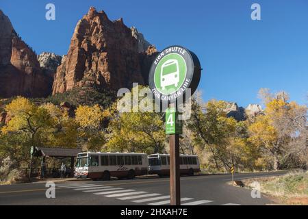 Canyon Line Station Stop Schild mit geparkten Shuttle Bus Fahrzeugen und Red Rock Cliffs im Hintergrund. Sonniger Herbsttag im Zion National Park, Utah, USA Stockfoto