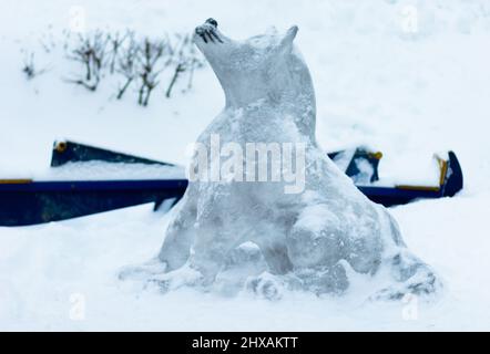 Märchen eis Abbildung von grauer Wolf in Winter Park Stockfoto