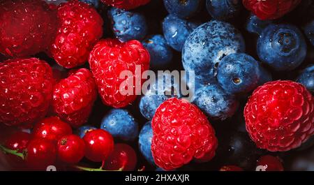 Nahaufnahme der frischen Beeren. Heidelbeeren, Himbeeren und rote Johannisbeere. Vollformat mit Fruchthintergrund. Stockfoto