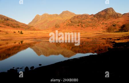 Die „Langdale Pikes“ und „Side Pike“ spiegeln sich in Blea Tarn in Dawn, Langdale, Lake District National Park, Cumbria, England, Großbritannien, wider Stockfoto