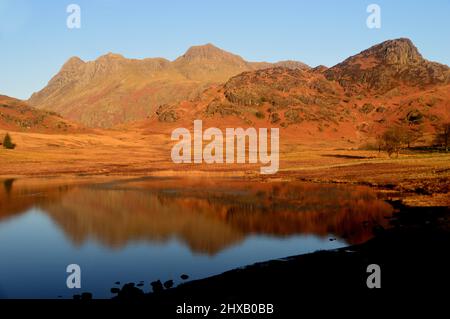 Die „Langdale Pikes“ und „Side Pike“ spiegeln sich in Blea Tarn in Dawn, Langdale, Lake District National Park, Cumbria, England, Großbritannien, wider Stockfoto