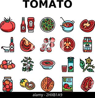 Tomate Natürliches Vitamin Gemüse Symbole Set Vektor Stock Vektor