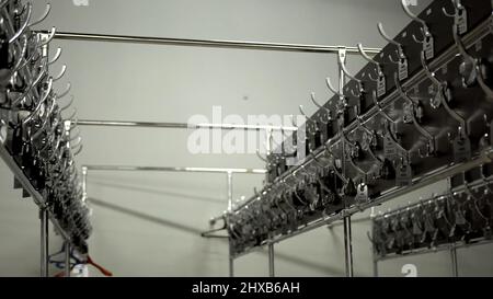 Reihen nummerierter Kleiderbügel im Ankleidezimmer. Neue Metallhaken-Kleiderbügel in der Garderobe für Oberbekleidung mit Nummern im öffentlichen Gebäude Stockfoto