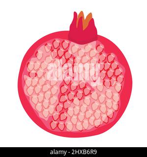 Frischer reifer Granatapfel isoliert auf weißem Hintergrund. Schneiden Sie Granatapfelfrüchte in Scheiben. Vektor Stock Vektor