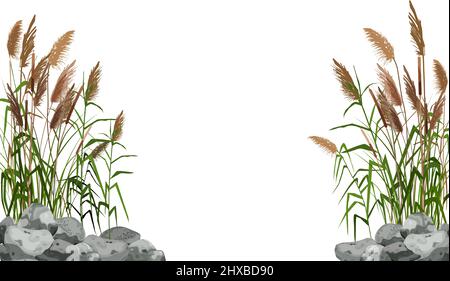 Stock Silhouette auf weißem Hintergrund.Hand gezeichnete Schilf oder Pampas Gras von grauen Steinen umgeben. Stock Vektor