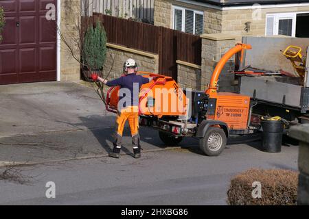 Mann in hohen Visen und Schutzhelmen, die Äste abschneiden und zerkleinern Stockfoto